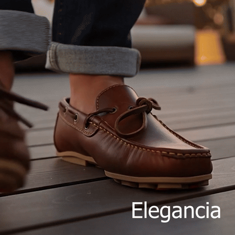 Zapatos Don Montclair Elegancia